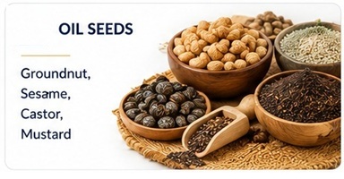 Oil Seeds