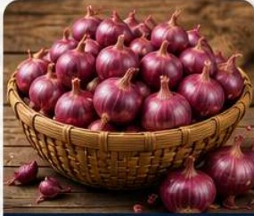 Onion
